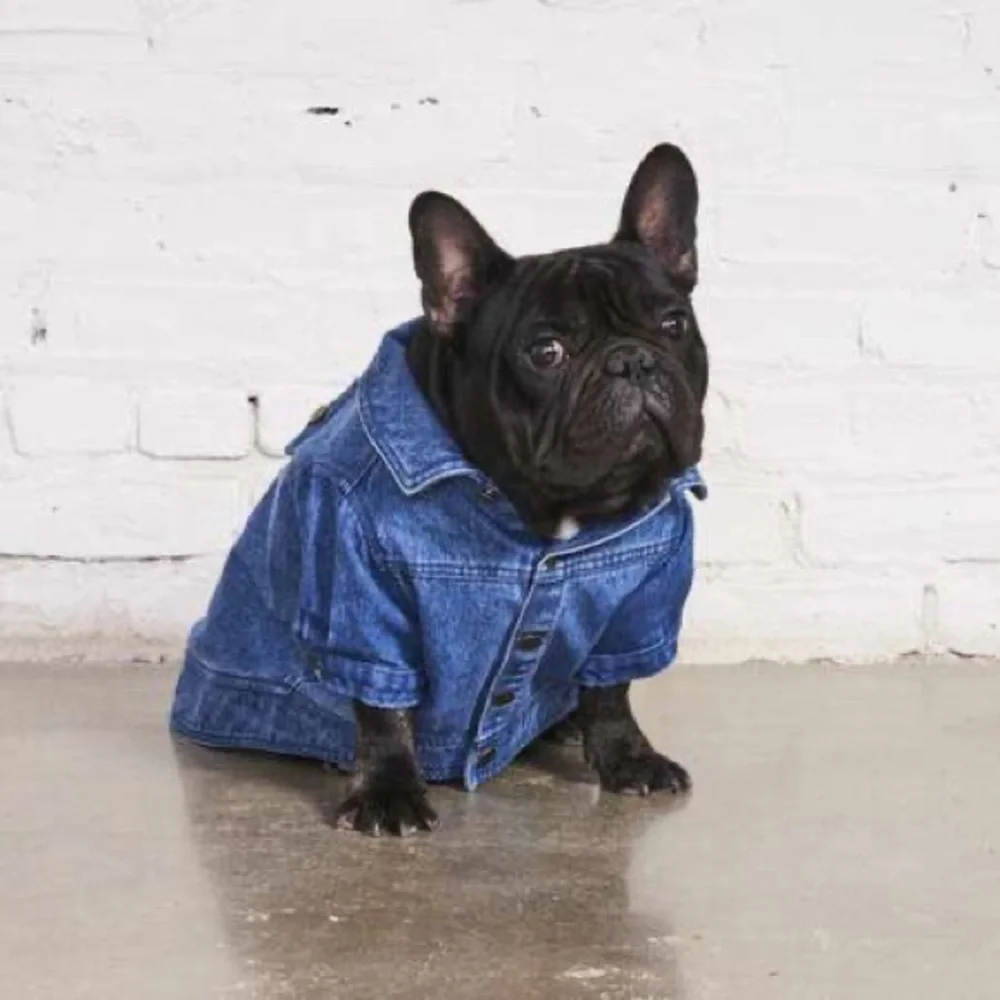 FOUND MY ANIMAL DENIM COAT